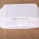 Disposable Foam Food Container