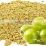 Spray Dried Amla Powder