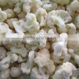 IQF Frozen cauliflower with good quality for sale