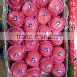 2016 China Red Honey Fuji Apple thumbnail-4