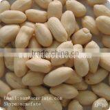 Chinese Peanut Kernels(virgina Type) thumbnail-4