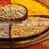 Spices thumbnail-1