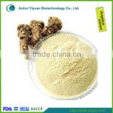 angelica root, angelica slice,anglica extract powder