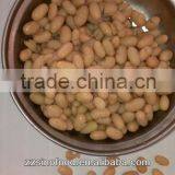 White Kidney Beans in Brine Canned Food thumbnail-1