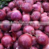 5.cm-7cm 7cm up Red Onion/Yellow Onion of Export Standard in Hot Sale
