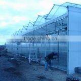 Greenhouse for Sale thumbnail-2