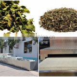 Onion Slice Dehydrator Continuous Type Drying Equipment thumbnail-4