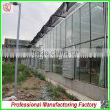 Hot Sale Multi-span Glass 7.2m Agriculture Greenhouses for Garden thumbnail-3