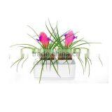 2014 Newest Office Decoration Mini Smart Garden thumbnail-1