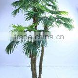 SJ12001163 Top Selling Palm Tree/mini Palme Plant Craft thumbnail-2