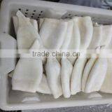 Best Quality New Arrival High Quality Squid Tube u5 u7 U10 thumbnail-4