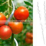 1.8m Galvanized Tomato Plant Stake Stick thumbnail-3