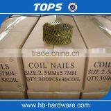 Coil Nail thumbnail-4