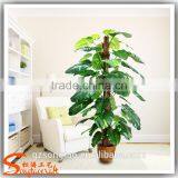 Artificial Olive Tree Indoor Plant for Home & Office Decorated thumbnail-3