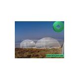 Economical Plastic Tunnel Greenhouse,Vegetable Greenhouse, Flower Greenhouse,