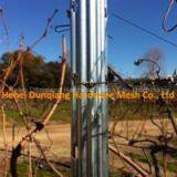 Hot Sale 2.4m Steel Grape Stake thumbnail-1