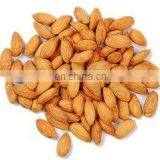 High Quality Almond Peeling Machine,Almond Peeler,Almond Skin Removing Machine thumbnail-3
