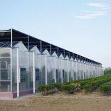 Modern Venlo Type Intelligent Greenhouse Covering PC Sheet thumbnail-5