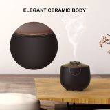 OEM 250ml Electric Ultrasonic Humidifier With 7 Color LED and Music Remote Control Ceramic Aroma Diffuser thumbnail-3