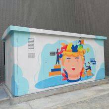 Pad-mounted Secondary Substation - American Type thumbnail-5