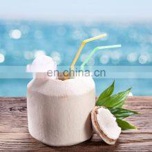 For Drink Healthy And Cheap Price Fresh Coconut Origin From Viet Nam thumbnail-3
