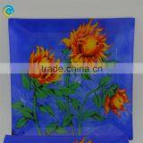 Hot Selling Glass Plates