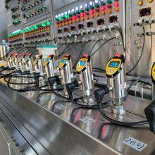 Liquid Flow Switch/thermal Flow Switch/pump Flow Switch thumbnail-4