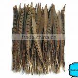 Wholesale Reeves Pheasant Tail Feathers, Natural Pheasant Tail Feathers thumbnail-2