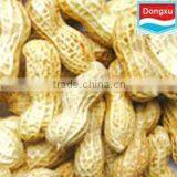 Chinese Peanut in Shell