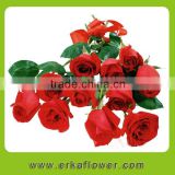 selling crazy red rose plants in happy New Year