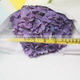 Most Popular Hotsell Hydrangea Flowers thumbnail-4