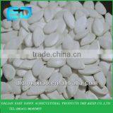 Crop Top Different Types of Seeds High Quality Snow White Pumpkin Seeds thumbnail-1