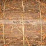 2014 New Crop Cassia Whole thumbnail-1