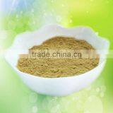 Sweet Tea Extract Natural Sweetener thumbnail-4