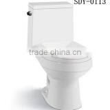 China New Design Ceramic wc Toilet Bathroom Two Piece Toilet Bowl