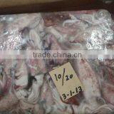 FROZEN LOLIGO SQUID thumbnail-1