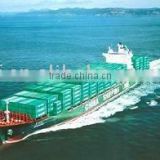 container shipping Shenzhen China to Nhava Sheva India container freight shipping