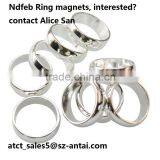 Radially Oriented Ring Magnet
