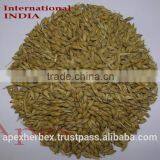 Apex Supplies Quality Barley Feed