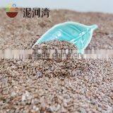 Brown Flax Seeds With Best Price thumbnail-5