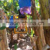 Bolsa de Proteccion Para el Banano thumbnail-6