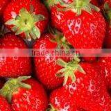 STRAWBERRY thumbnail-2