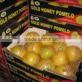 2011 Crop Pomelo thumbnail-1