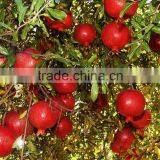 FRESH SWEET POMEGRANTE thumbnail-6