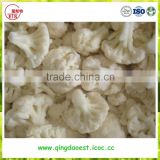 Export bulk Chinese high quality with compeitive price IQF Frozen Cauliflower