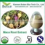 Natural Maca Root Extract Powder thumbnail-1
