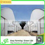 Hot Sale Searea 200 Micron Single-span Greenhouse Project thumbnail-2