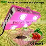Led Grow Light 600w Greenhouse Indoor Plant Lamp Full Specturm for Tomato Cucumber Veg thumbnail-1