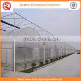 China Supplier Multi-span 8.0m PE Film Agriculture Greenhouse Plastic for Sale thumbnail-2