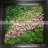 Environmental Protection Artificial Green Wall Succulent Plant Wall thumbnail-2